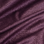 Savanna violet