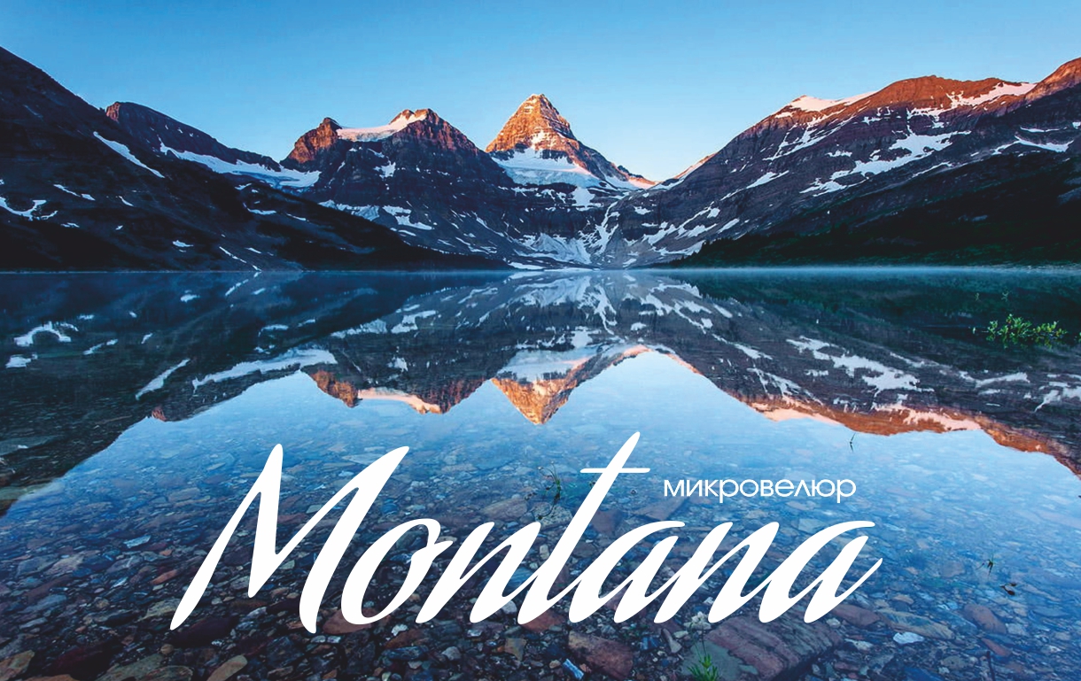 Montana   Top